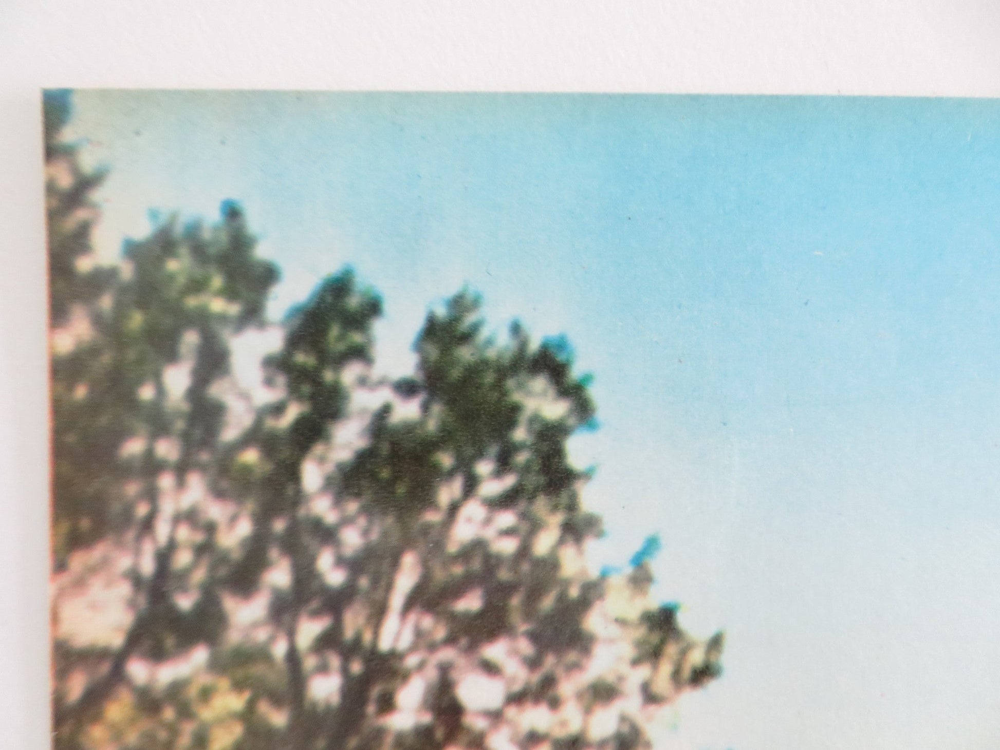 LOVE HAS MANY FACES - E ITALIAN FOTOBUSTA POSTER LANA TURNER C. ROBERTSON 1965 Rendezvous Cinema Movie posters