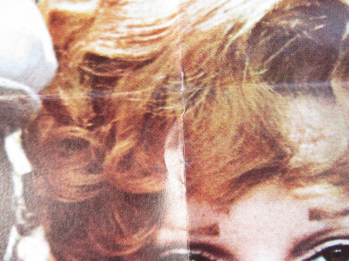 LUCKY LADY GERMAN A1 POSTER FOLDED GENE HACKMAN LIZA MINNELLI 1976 Rendezvous Cinema Movie posters