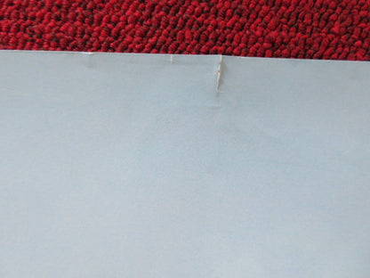 LUIS AND THE ALIENS UK QUAD ROLLED POSTER CALLUM MALONEY DERMOT MAGENNIS 2018 Rendezvous Cinema Movie posters