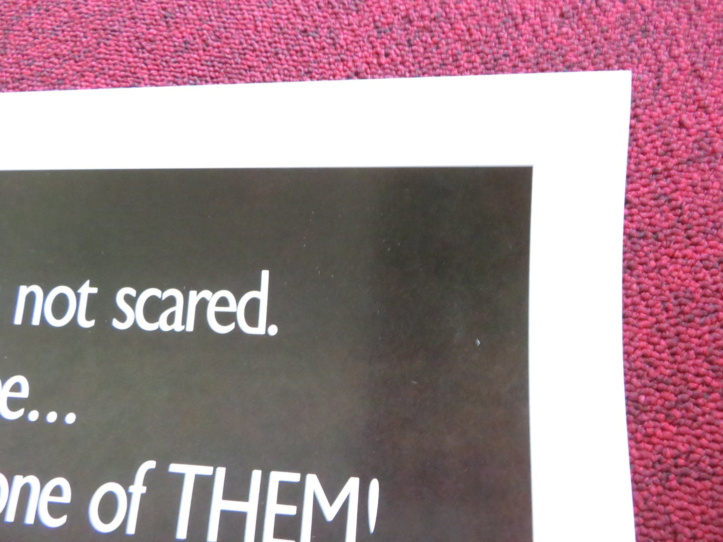 LURKERS US ONE SHEET ROLLED POSTER CHRISTINE MOORE GARY WARNER 1987 Rendezvous Cinema Movie posters