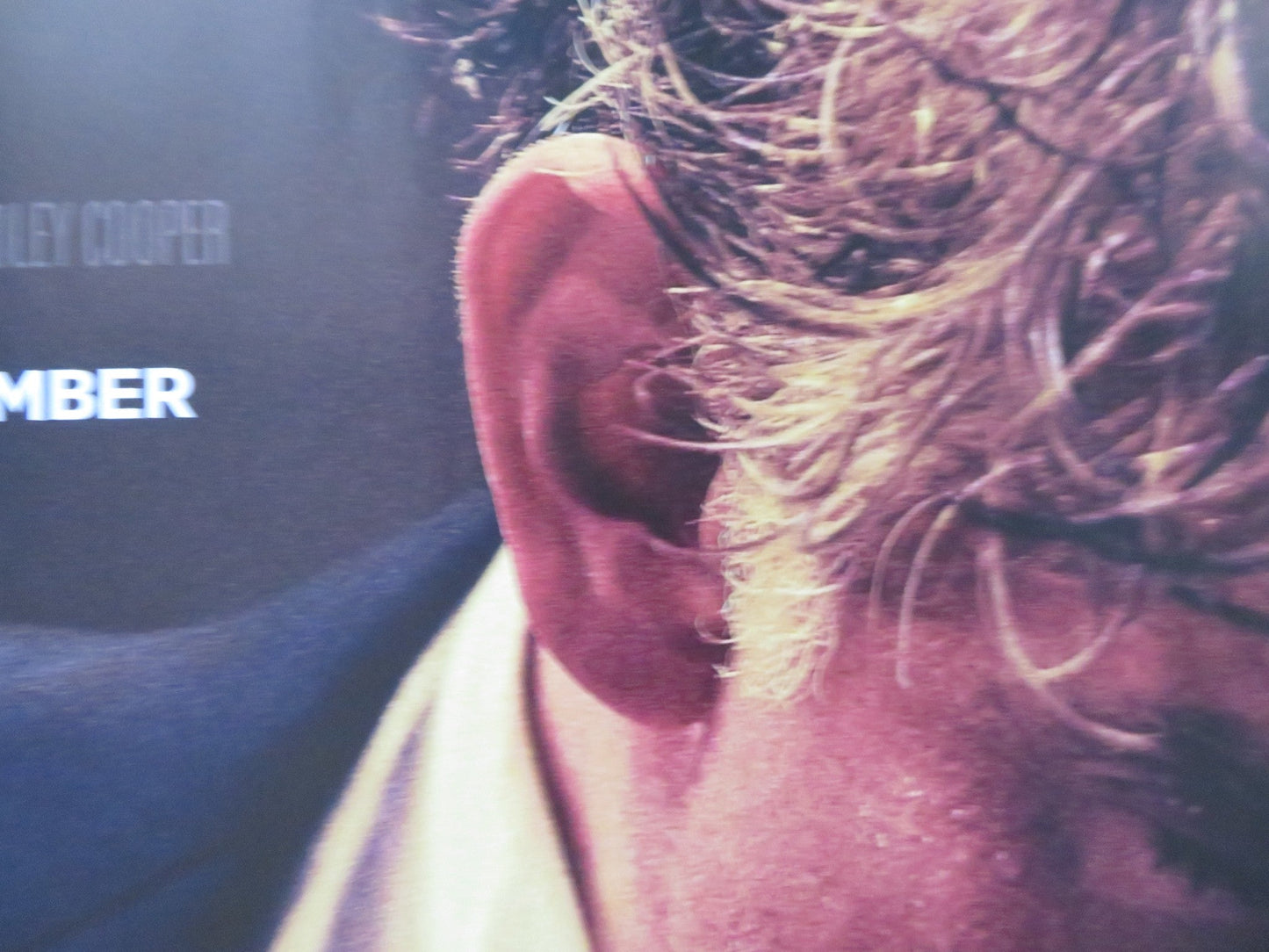 MAESTRO UK QUAD ROLLED POSTER BRADLEY COOPER CAREY MULLIGAN 2023 Rendezvous Cinema Movie posters