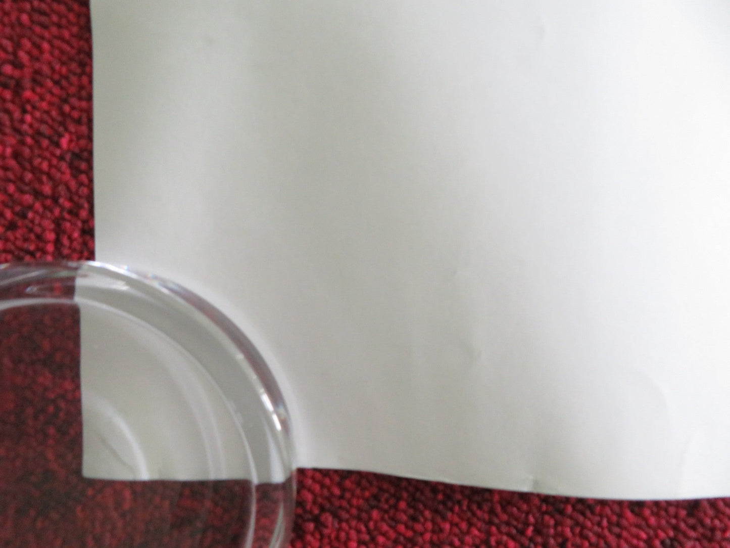 MALEFICENT UK QUAD ROLLED POSTER DISNEY ANGELINA JOLIE ELLE FANNING 2014 Rendezvous Cinema Movie posters