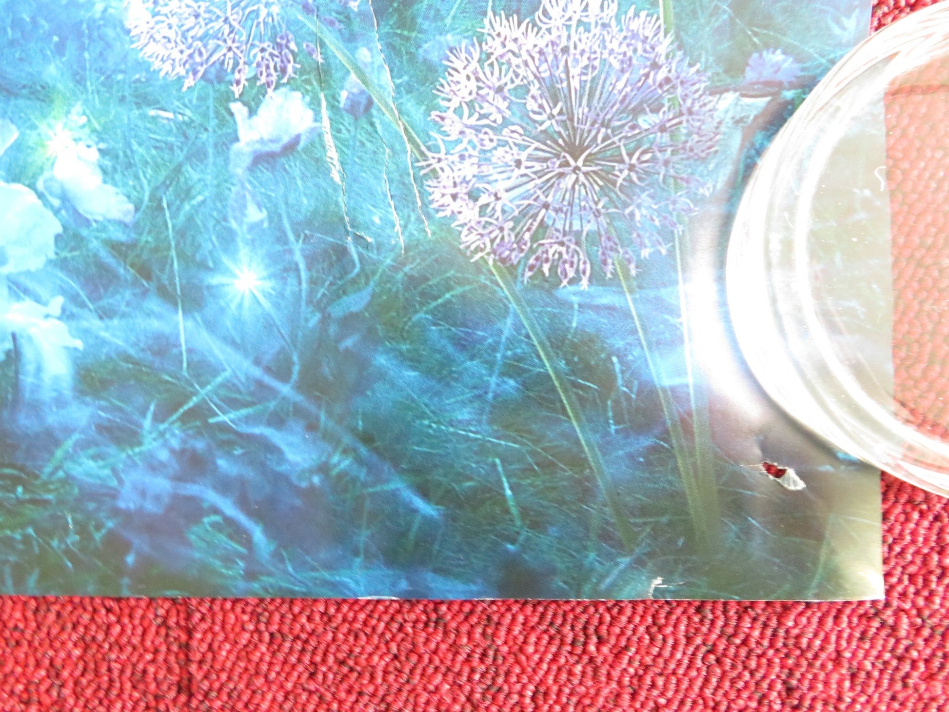 MALEFICENT UK QUAD ROLLED POSTER DISNEY ANGELINA JOLIE ELLE FANNING 2014 Rendezvous Cinema Movie posters