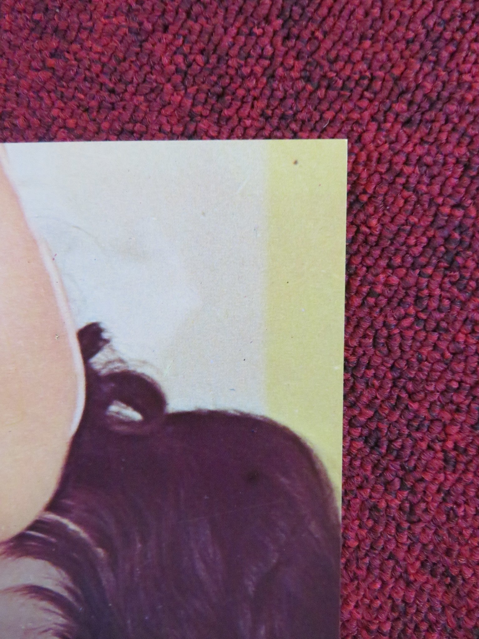 MAN OF THE YEAR - 2 LOBBY CARD LANDO BUZZANCA 1973 Rendezvous Cinema Movie posters