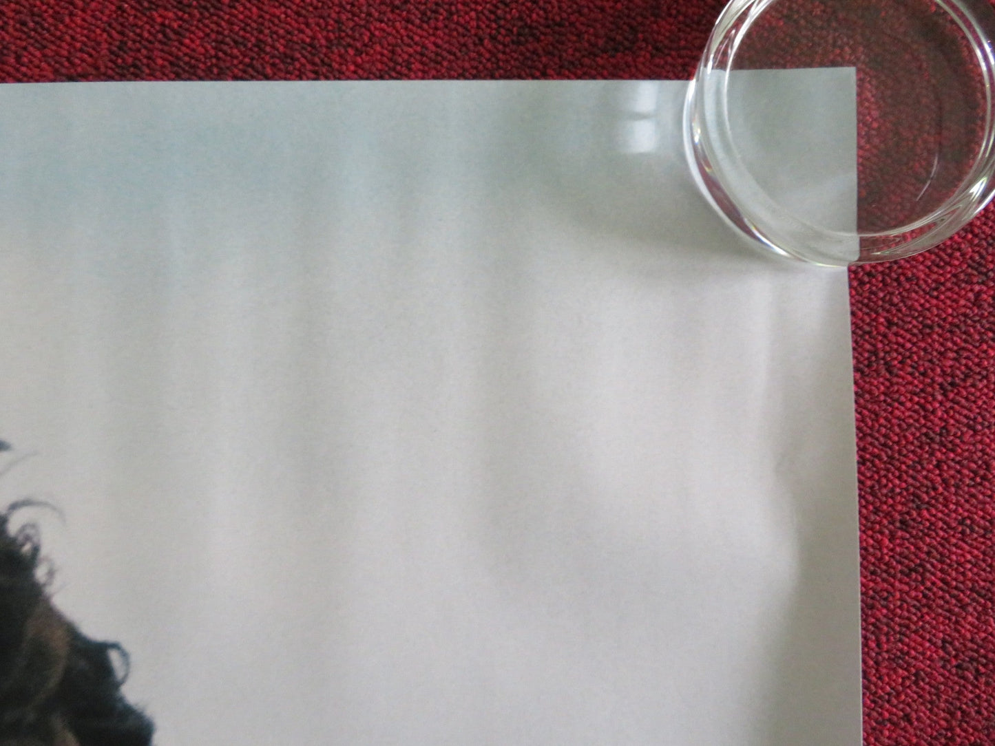 Man On The Run UK QUAD ROLLED POSTER PAUL MCCARTNEY WINGS JOHN LENNON 2025 Movie posters