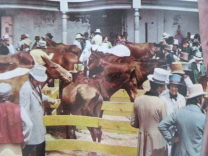 MANDINGO - A ITALIAN FOTOBUSTA POSTER JAMES MASON SUSAN GEORGE 1975 Rendezvous Cinema Movie posters