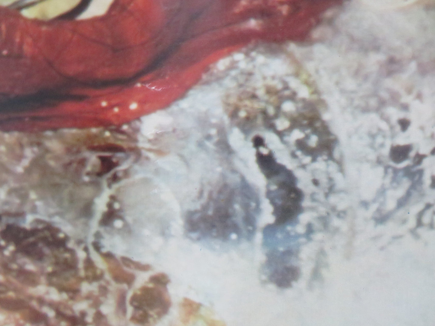 MANDINGO - D ITALIAN FOTOBUSTA POSTER JAMES MASON SUSAN GEORGE 1975 Rendezvous Cinema Movie posters