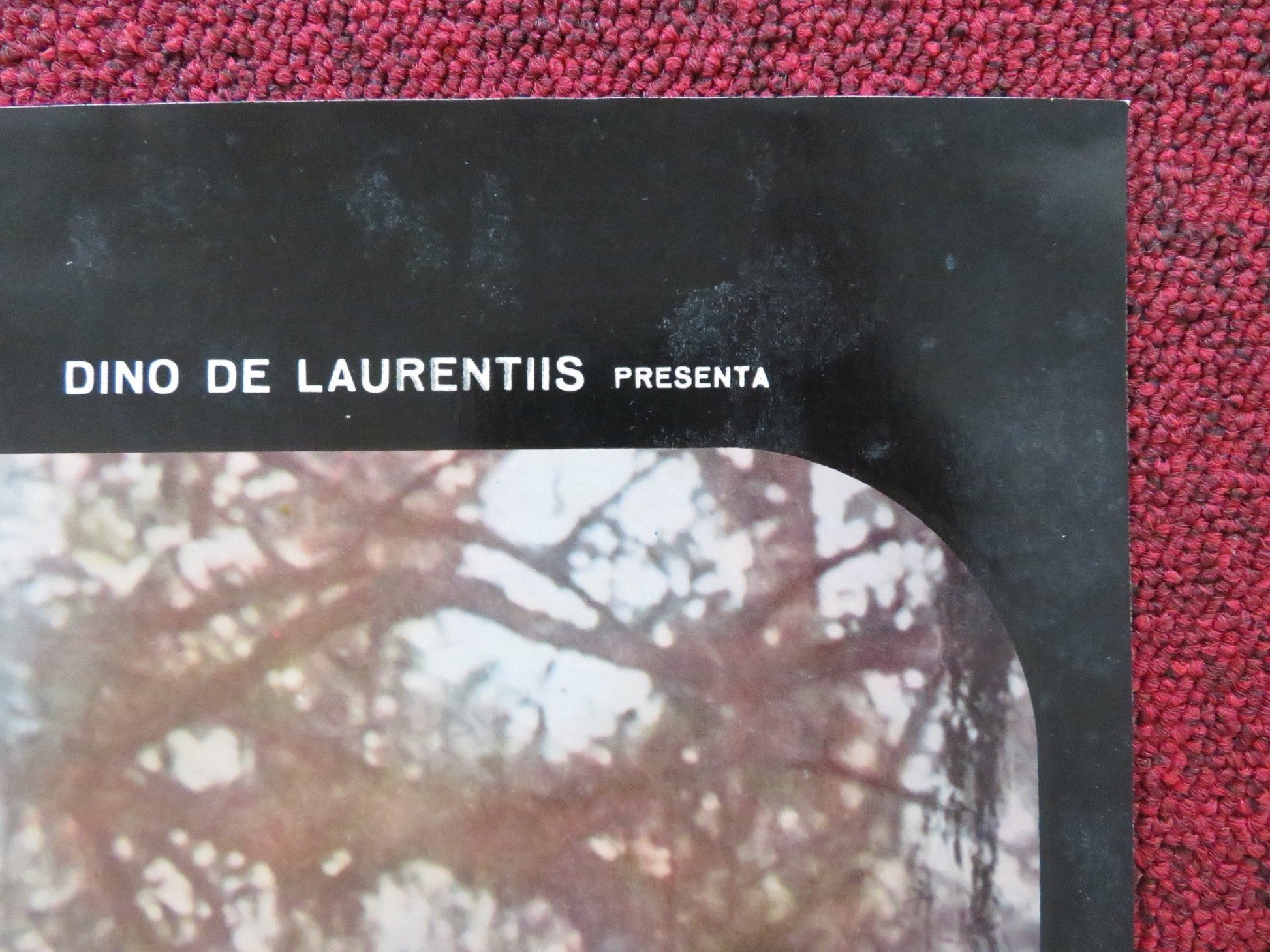 MANDINGO - G ITALIAN FOTOBUSTA POSTER JAMES MASON SUSAN GEORGE 1975 Rendezvous Cinema Movie posters