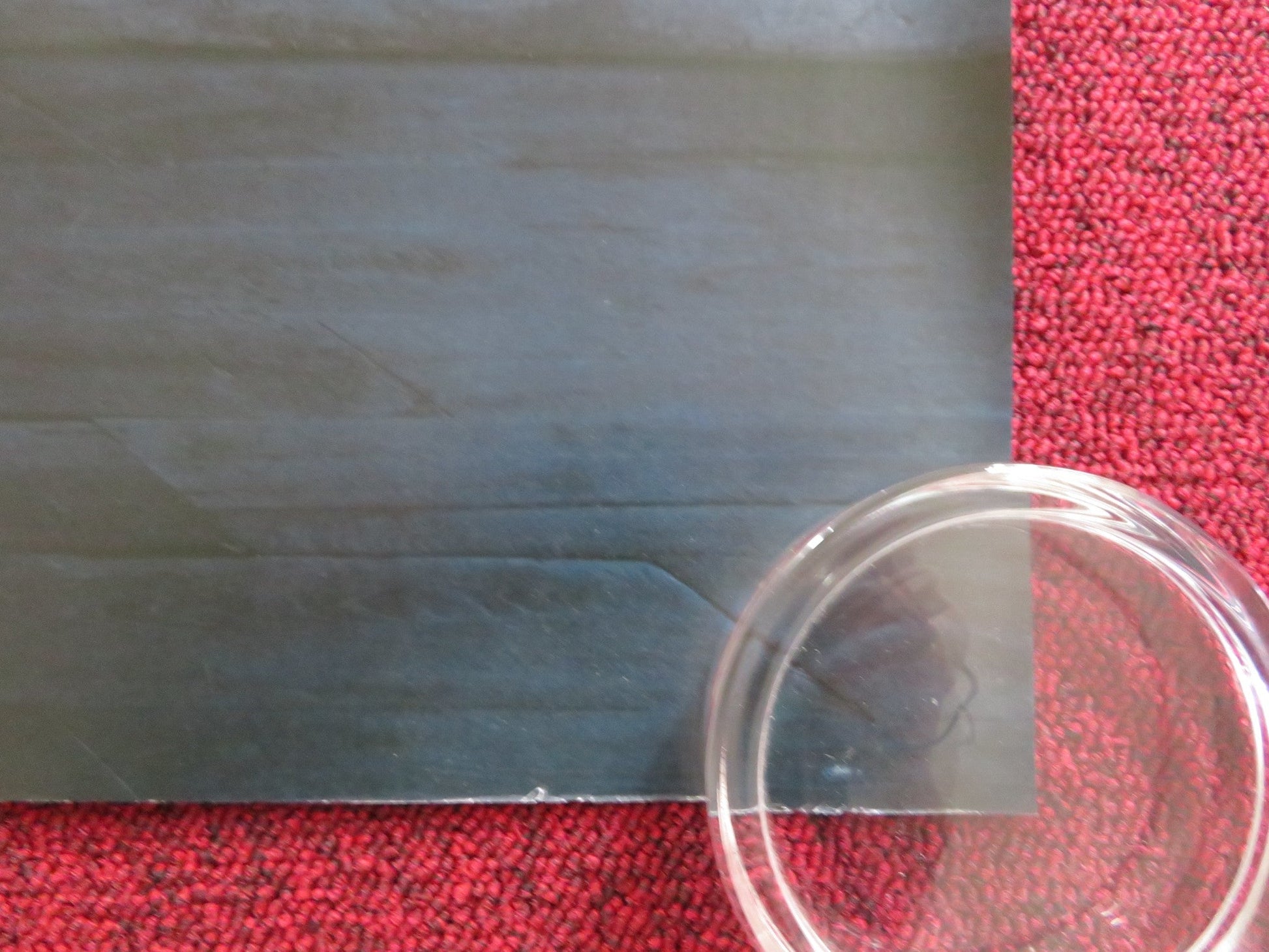 MARROWBONE UK QUAD ROLLED POSTER GEORGE MACKAY ANNA TAYLOR - JOY 2017 Rendezvous Cinema Movie posters