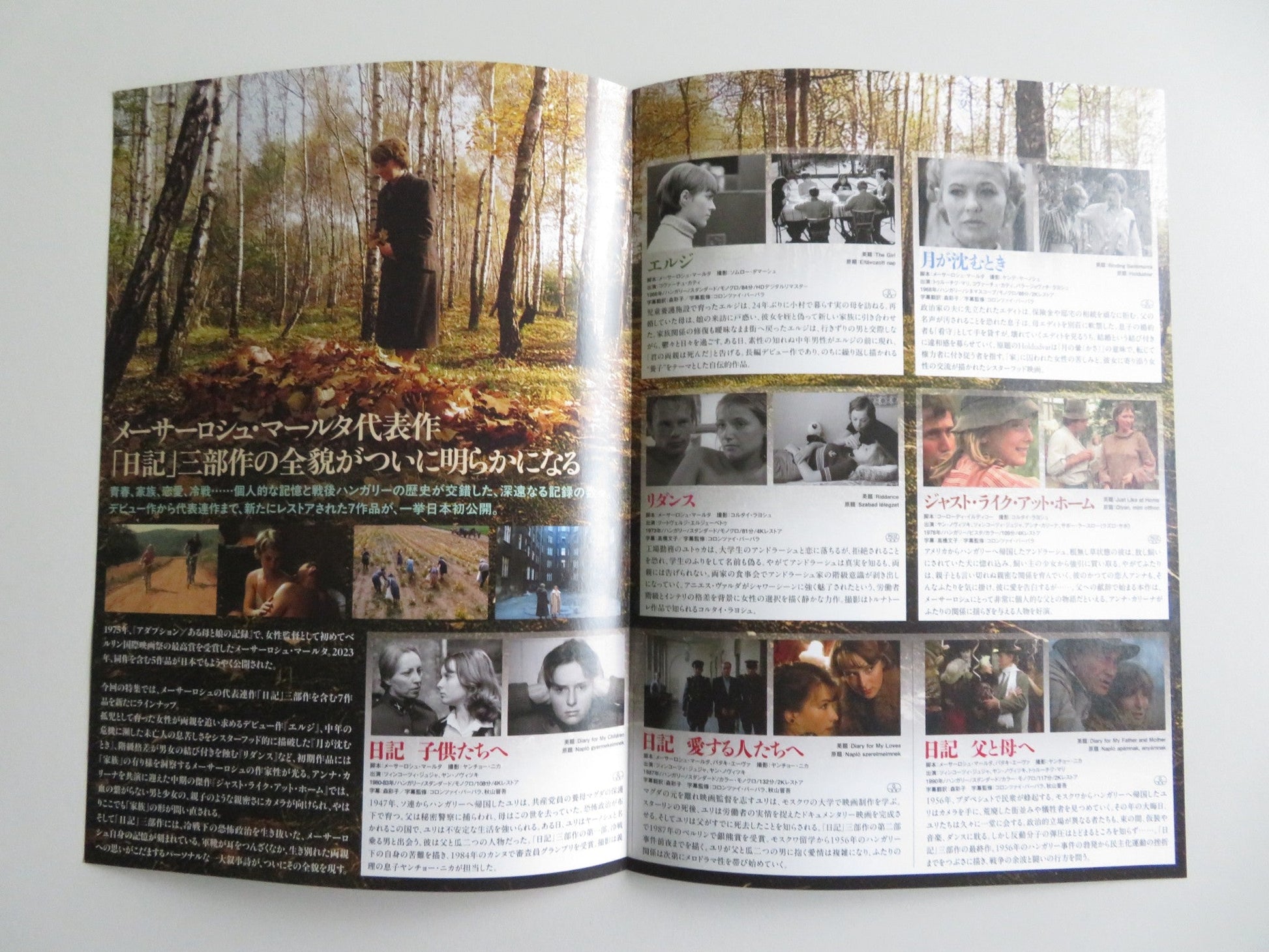 MARTA MESZAROS DIRECTOR FEATURE JAPANESE CHIRASHI (B5) POSTER MARI TOROCSIK 2025 - Rendezvous Cinema