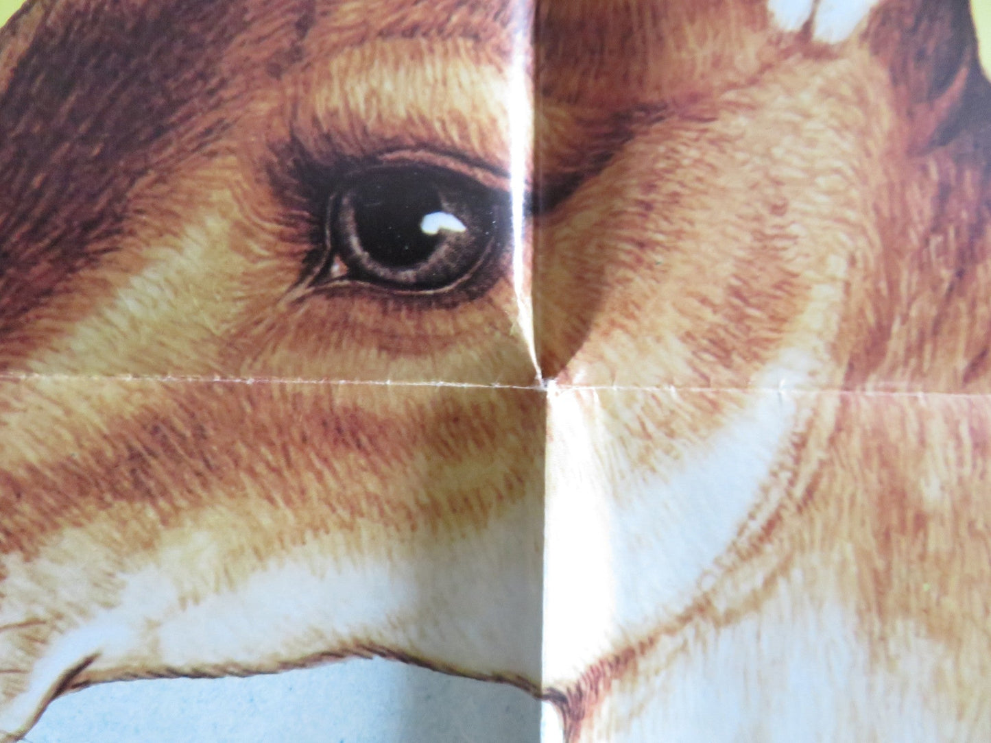 MATILDA FOLDED US ONE SHEET POSTER ELLIOT GOULD CLIVE REVILL 1978 Rendezvous Cinema Movie posters