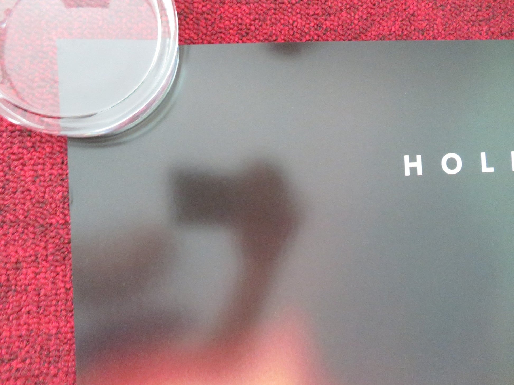 MAXXXINE - B ONE SHEET ROLLED POSTER MIA GOTH SIMON PRAST 2024 Movie posters