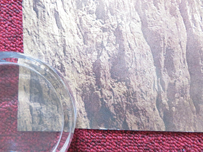 MAZE RUNNER: THE SCORCH TRIALS UK QUAD ROLLED POSTER DYLAN O'BRIEN 2015 Rendezvous Cinema Movie posters