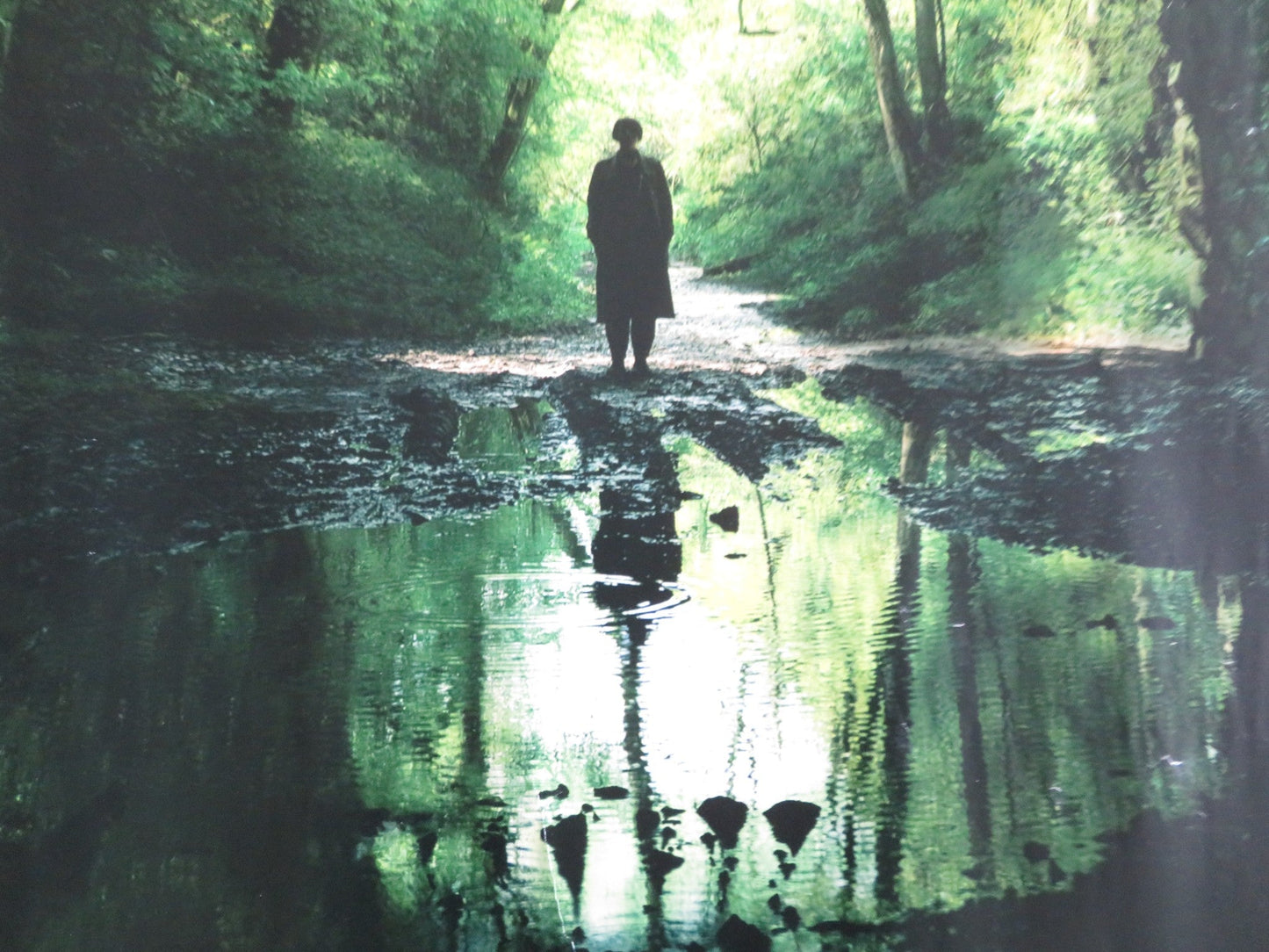 MEN UK QUAD ROLLED POSTER JESSIE BUCKLEY RORY KINNEAR 2022 Rendezvous Cinema Movie posters