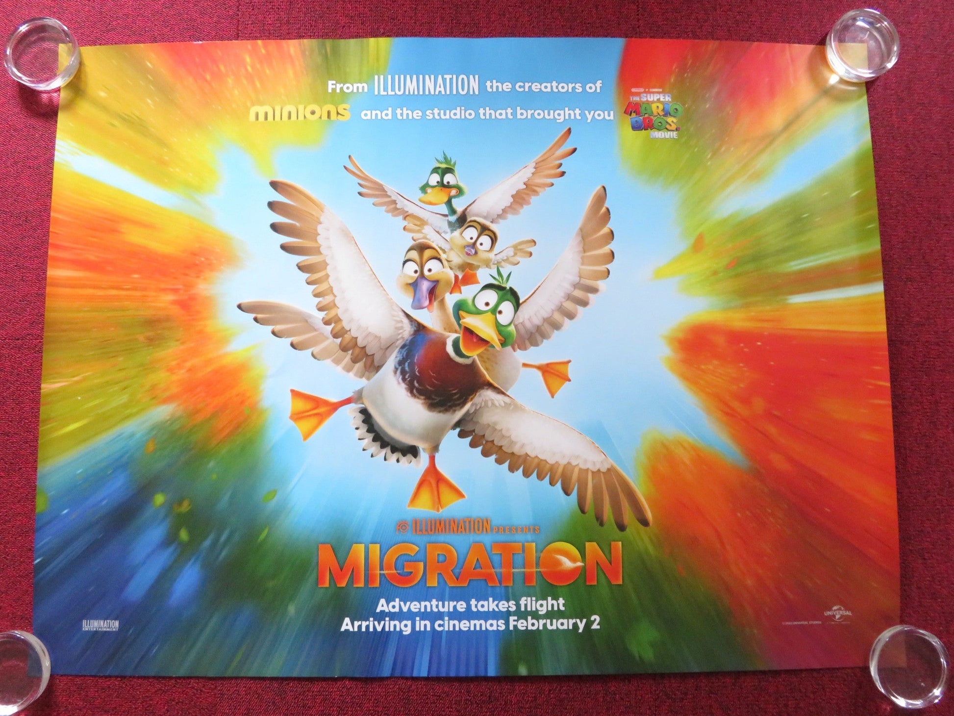 MIGRATION UK QUAD ROLLED POSTER KUMAIL NANJIANI ELIZABETH BANKS 2023 Rendezvous Cinema Movie posters