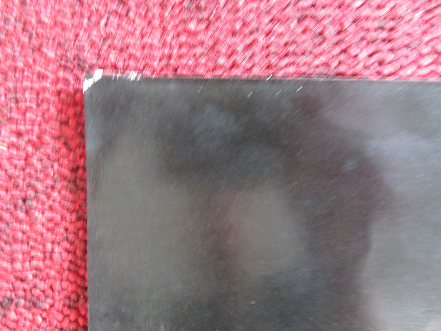 MIMI BLUETTE... FIORE DEL MIO GIARDINO - A ITALIAN FOTOBUSTA POSTER VITTI 1976 Rendezvous Cinema Movie posters