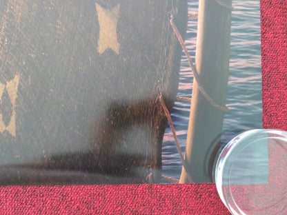 MOANA 2 - B ONE SHEET ROLLED POSTER AULI'L CRAVALHO DWAYNE JOHNSON 2024 Movie posters