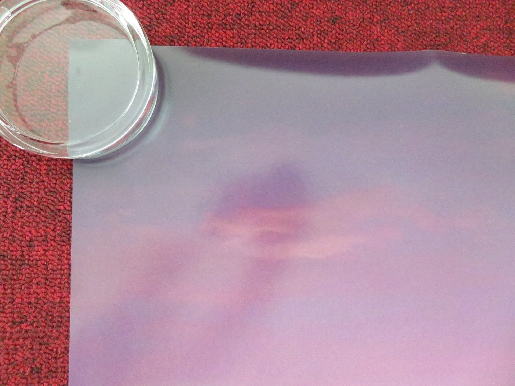 MOANA 2 - B ONE SHEET ROLLED POSTER AULI'L CRAVALHO DWAYNE JOHNSON 2024 Movie posters