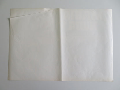 MONDO MAGIC - B ITALIAN FOTOBUSTA POSTER RICCARDO CUCCIOLLA 1975 Rendezvous Cinema Movie posters