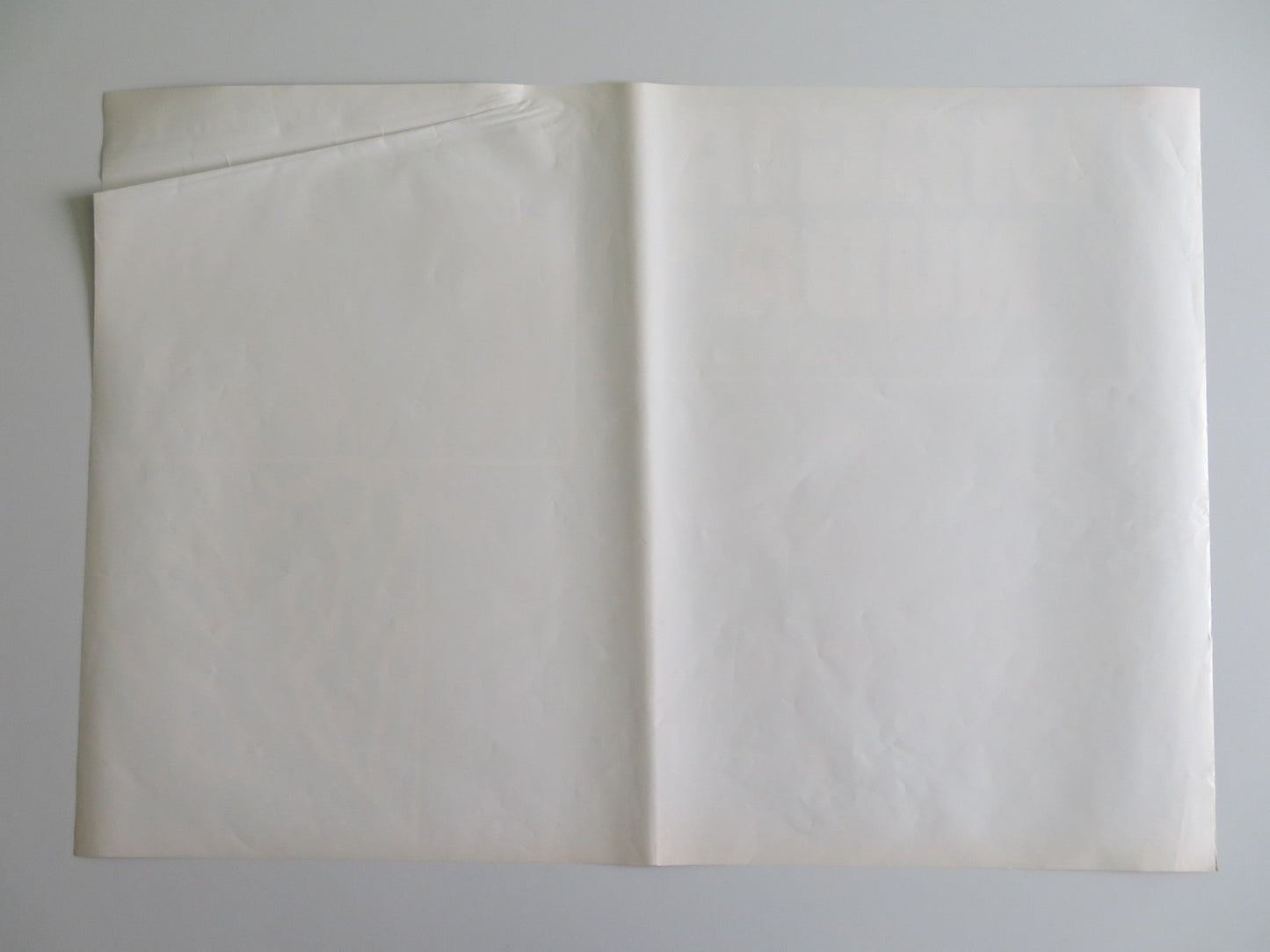 MONDO MAGIC - C ITALIAN FOTOBUSTA POSTER RICCARDO CUCCIOLLA 1975 Rendezvous Cinema Movie posters