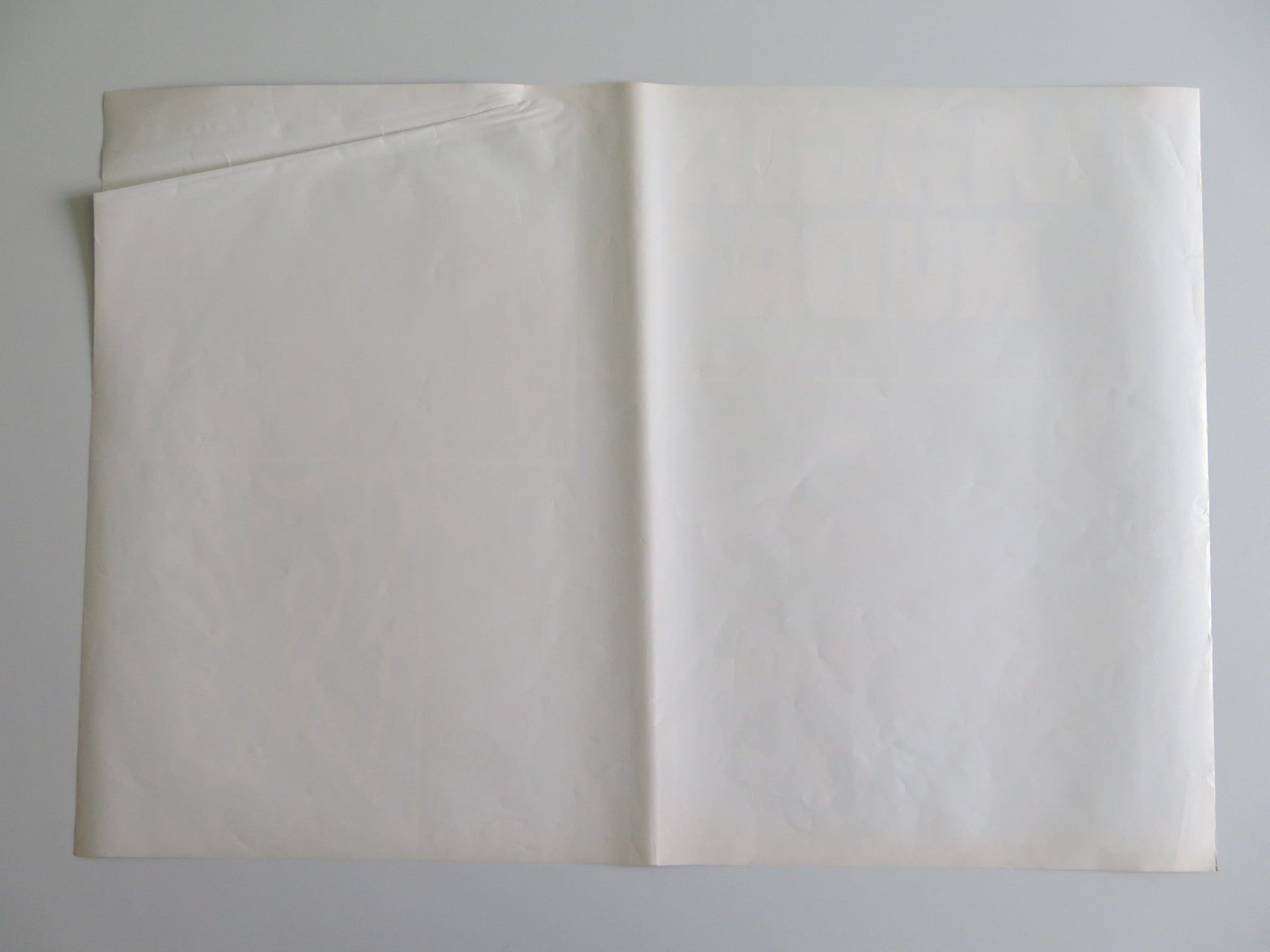 MONDO MAGIC - C ITALIAN FOTOBUSTA POSTER RICCARDO CUCCIOLLA 1975 Rendezvous Cinema Movie posters