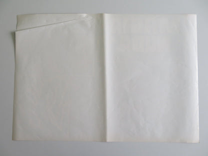 MONDO MAGIC - C ITALIAN FOTOBUSTA POSTER RICCARDO CUCCIOLLA 1975 Rendezvous Cinema Movie posters