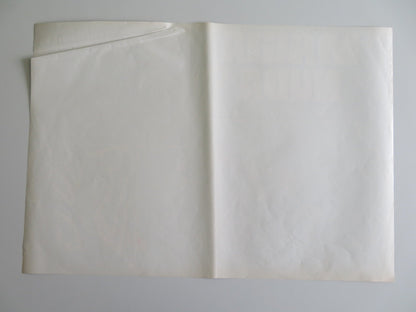 MONDO MAGIC - D ITALIAN FOTOBUSTA POSTER RICCARDO CUCCIOLLA 1975 Rendezvous Cinema Movie posters