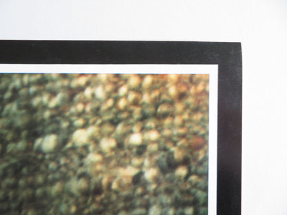 MONEY MOVERS - A ITALIAN FOTOBUSTA POSTER TERENCE DONOVAN TONNY BONNER 1979 Rendezvous Cinema Movie posters