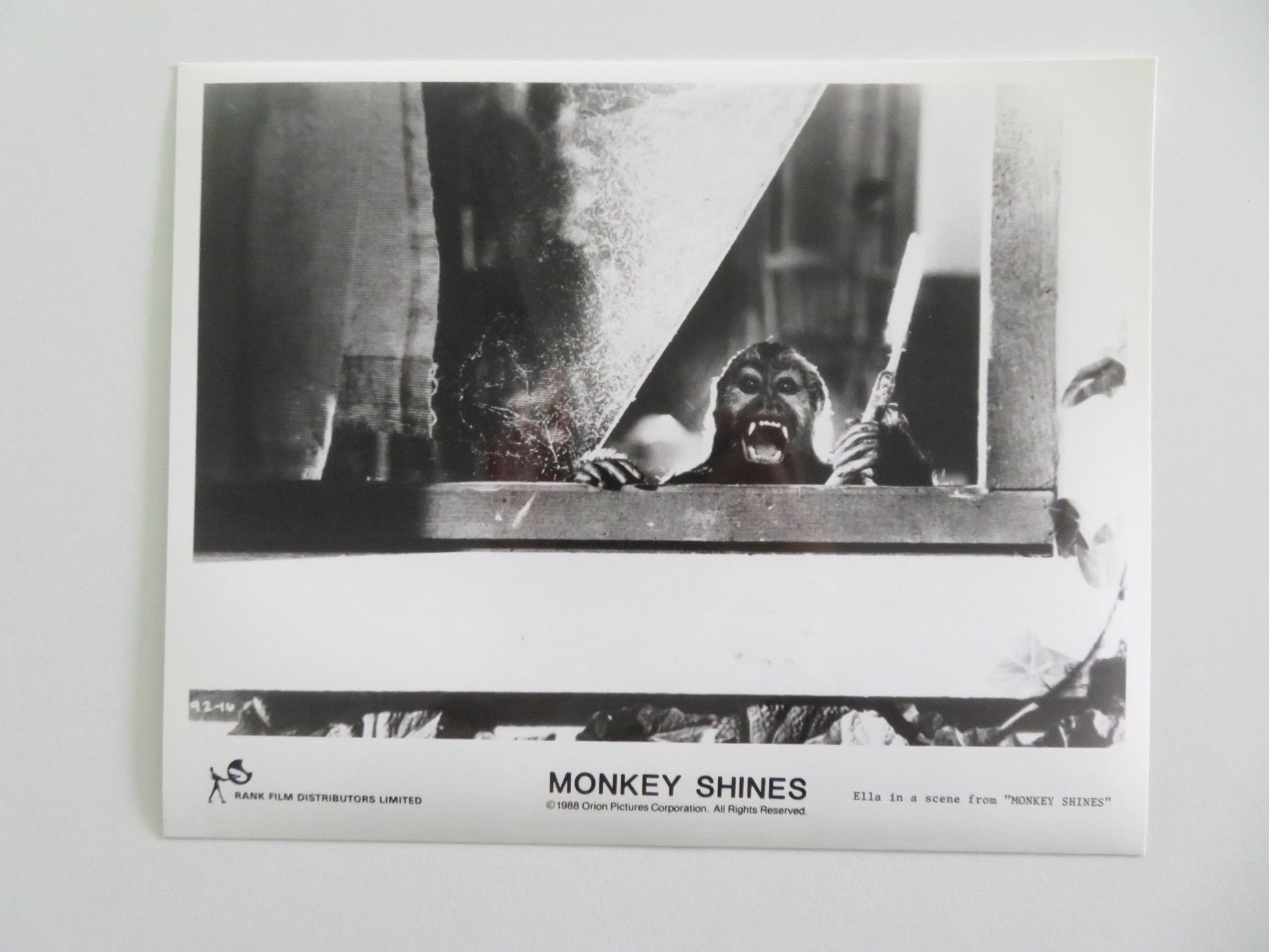 MONKEY SHINES MOVIE STILL PHOTO LOT OF 6 JASON BEGHE JOHN PANKOW 1988 Movie posters