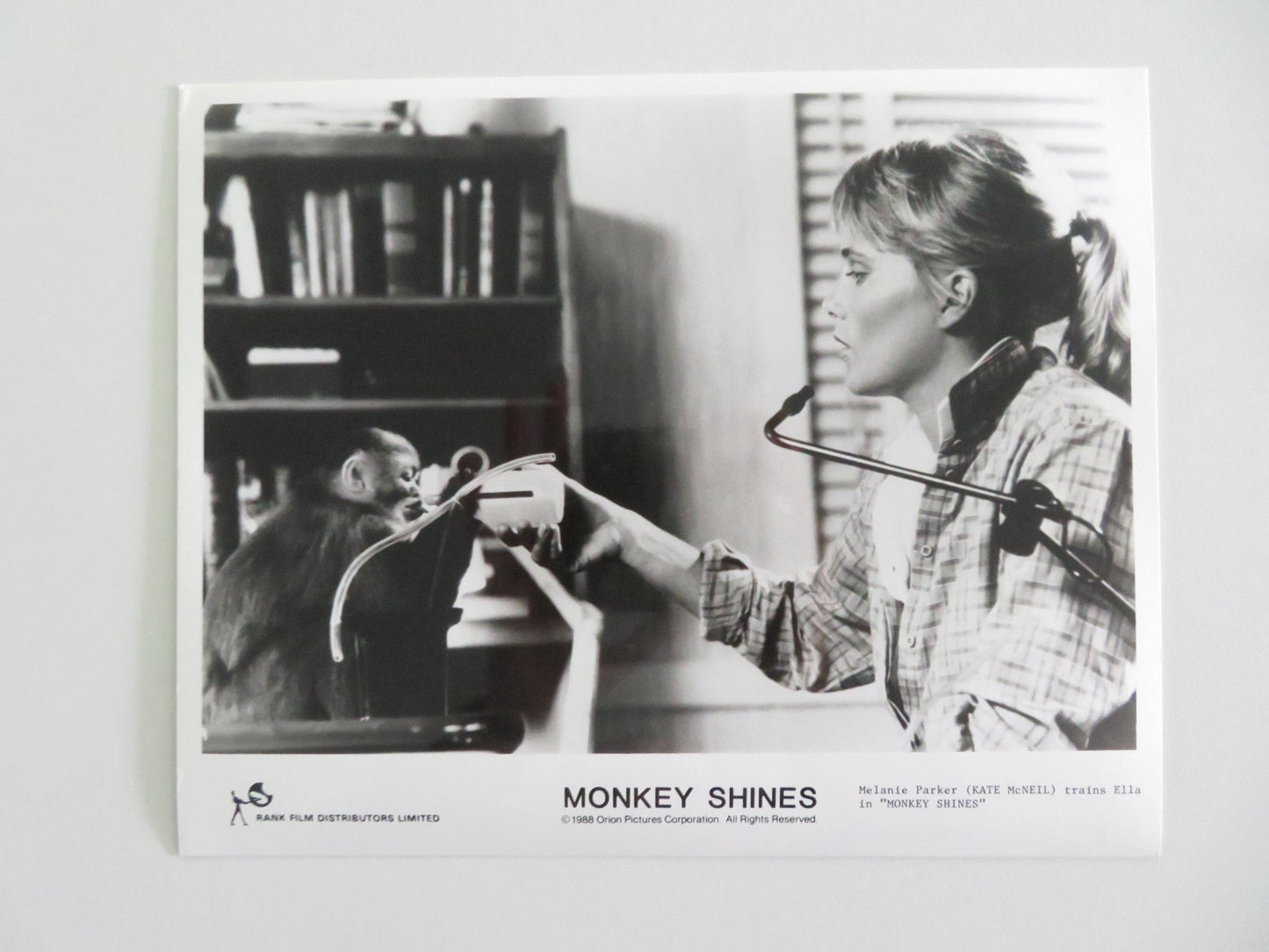 MONKEY SHINES MOVIE STILL PHOTO LOT OF 6 JASON BEGHE JOHN PANKOW 1988 Movie posters