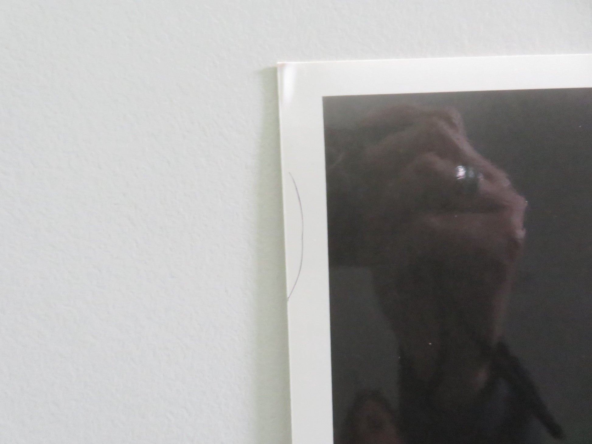 MONKEY SHINES MOVIE STILL PHOTO LOT OF 6 JASON BEGHE JOHN PANKOW 1988 Movie posters