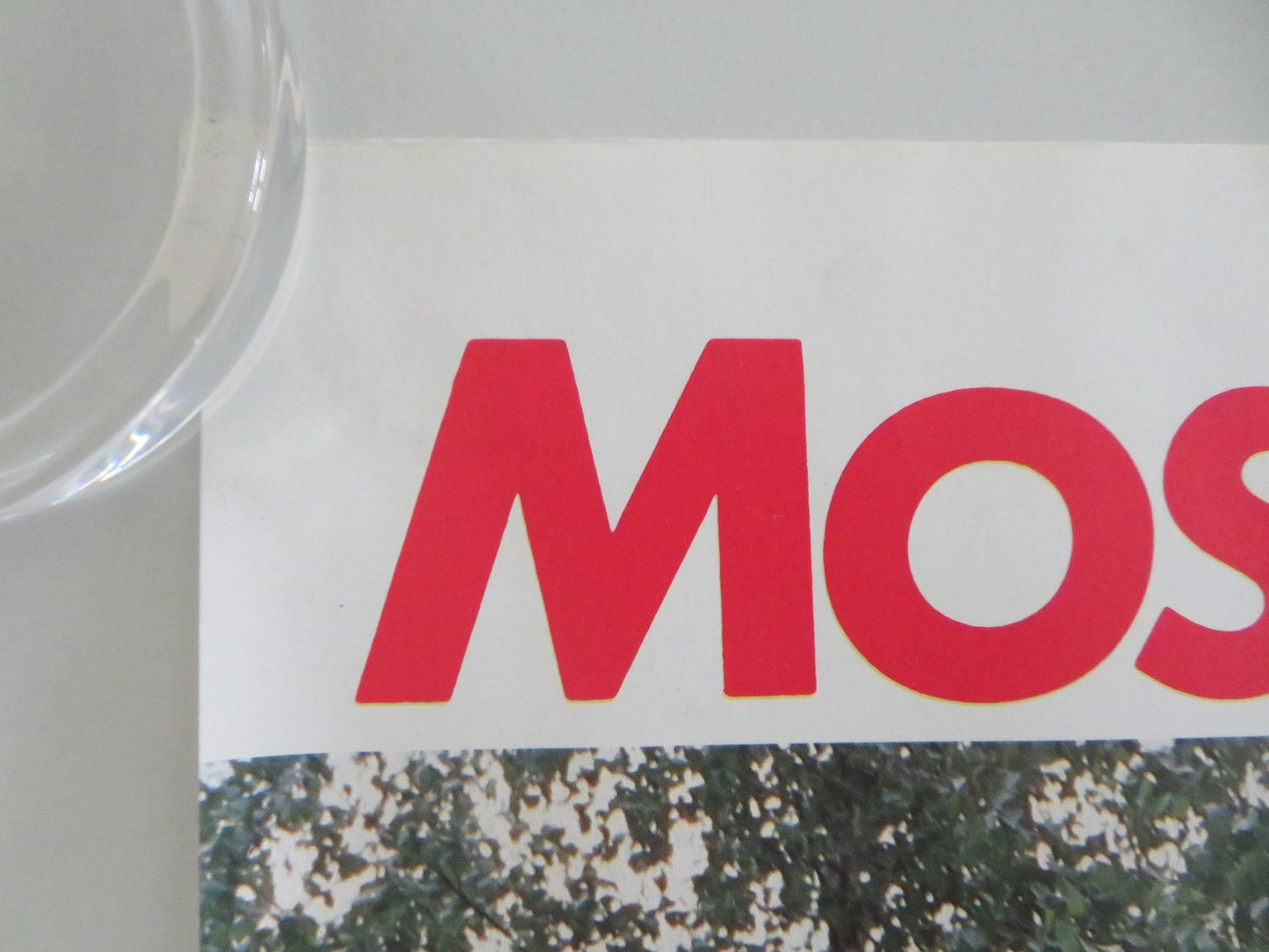 MOSCOW BEARS RUSSIA POSTER ROLLED YURI BOLDIN GEMADY SIDELIN EUGENE KALUGIN 1989 Movie posters