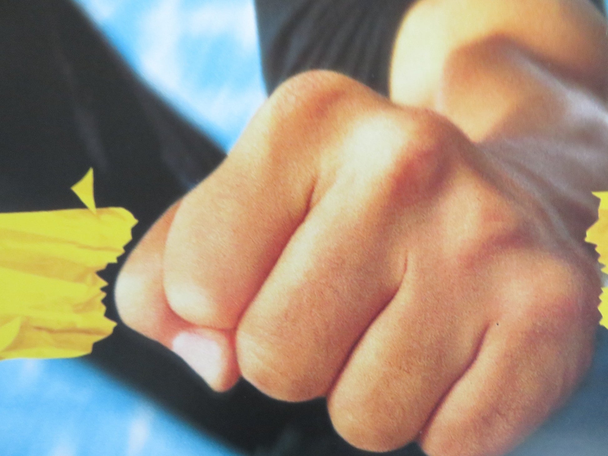 MR. NICE GUY VHS POSTER ROLLED JACKIE CHAN RICHARD NORTON 1997 Rendezvous Cinema Movie posters