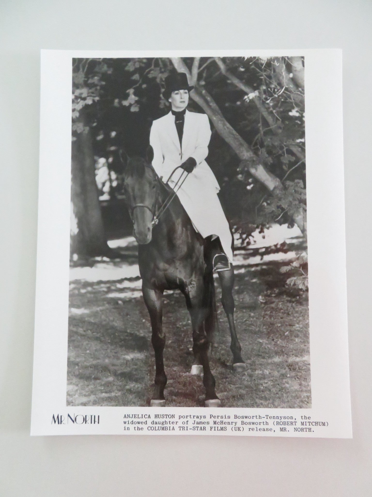 MR. NORTH MOVIE STILL PHOTO LOT OF 8 ROBERT MITCHUM ANJELICA HUSTON 1988 Movie posters