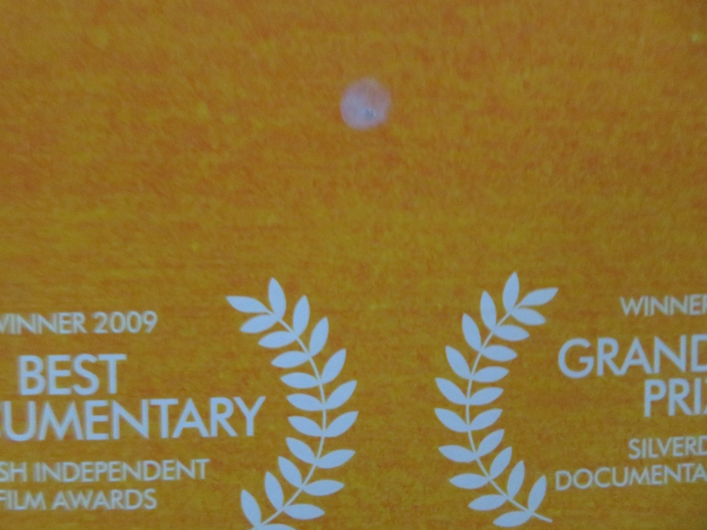 MUGABE AND THE WHITE AFRICAN UK QUAD ROLLED POSTER 2009 - Rendezvous Cinema