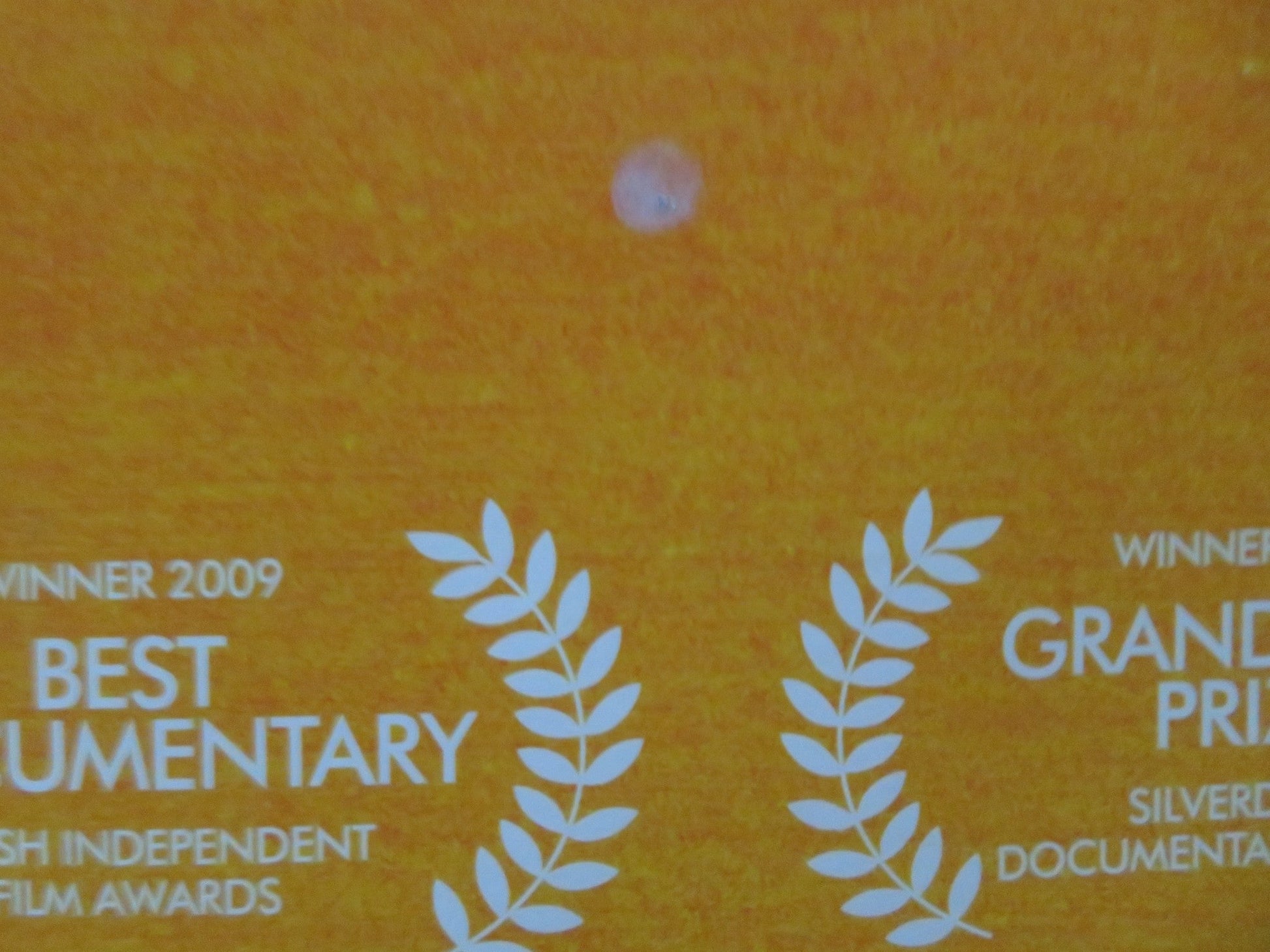 MUGABE AND THE WHITE AFRICAN UK QUAD ROLLED POSTER 2009 - Rendezvous Cinema