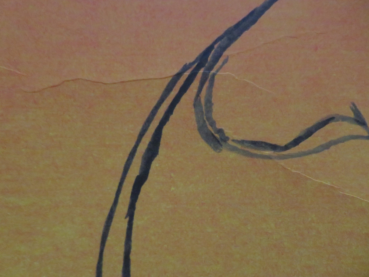 MUGABE AND THE WHITE AFRICAN UK QUAD ROLLED POSTER 2009 - Rendezvous Cinema