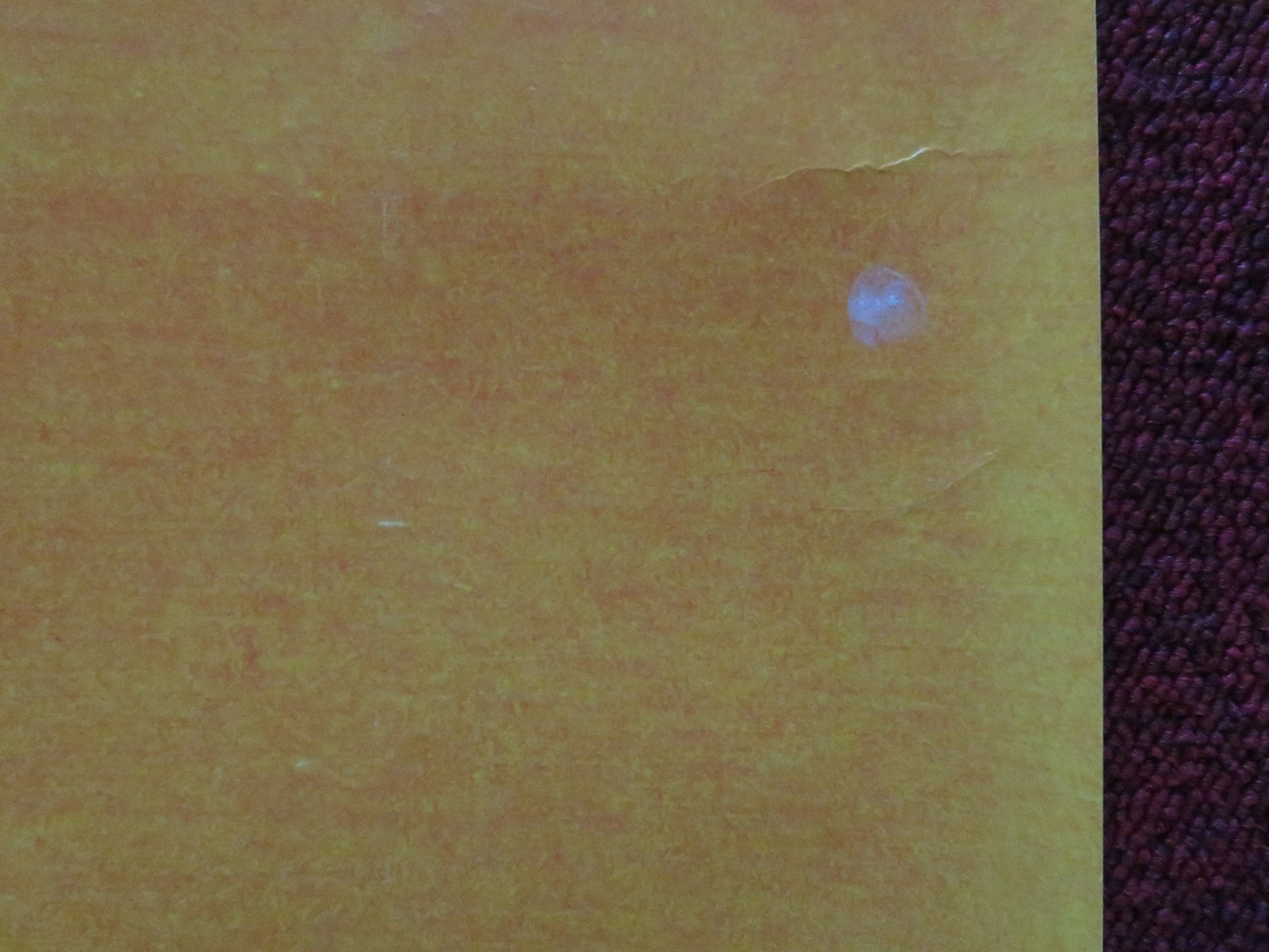 MUGABE AND THE WHITE AFRICAN UK QUAD ROLLED POSTER 2009 - Rendezvous Cinema