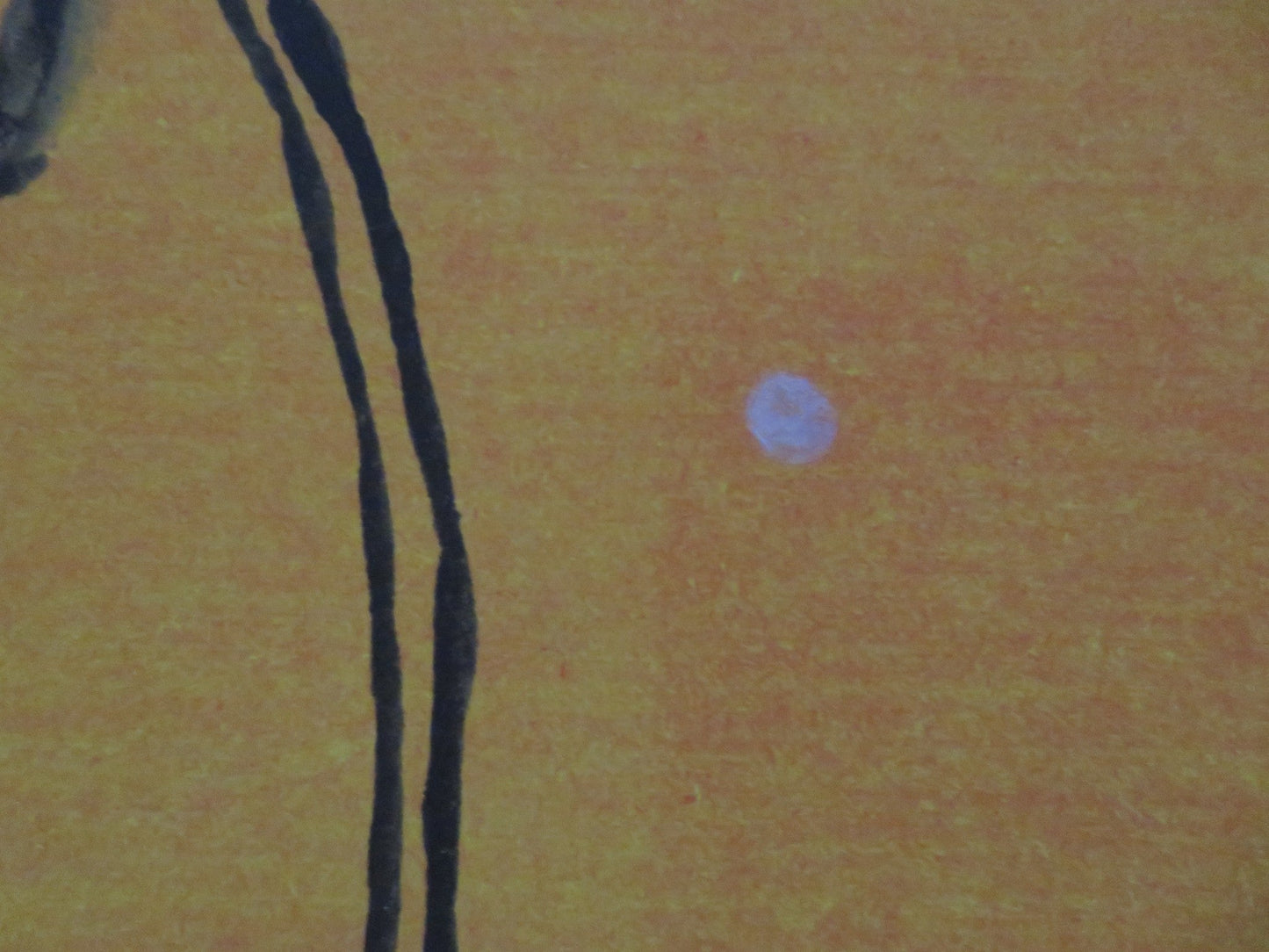 MUGABE AND THE WHITE AFRICAN UK QUAD ROLLED POSTER 2009 - Rendezvous Cinema