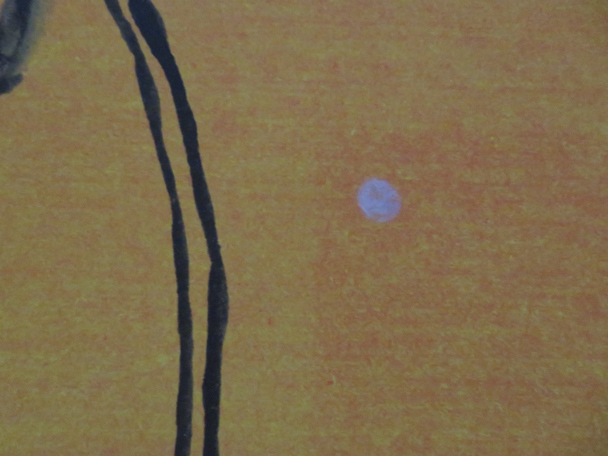 MUGABE AND THE WHITE AFRICAN UK QUAD ROLLED POSTER 2009 - Rendezvous Cinema