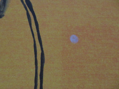 MUGABE AND THE WHITE AFRICAN UK QUAD ROLLED POSTER 2009 - Rendezvous Cinema