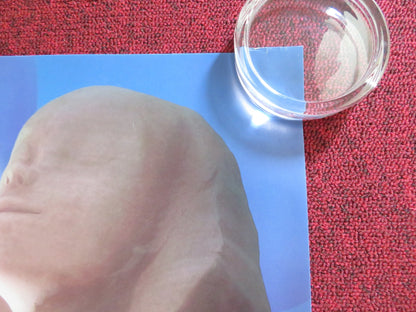 MUMMIES UK QUAD ROLLED POSTER HUGH BONNEVILLE CELIA IMRIE 2023 Rendezvous Cinema Movie posters