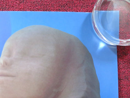 MUMMIES UK QUAD ROLLED POSTER SEAN BEAN HUGH BONNEVILLE 2023 Rendezvous Cinema Movie posters