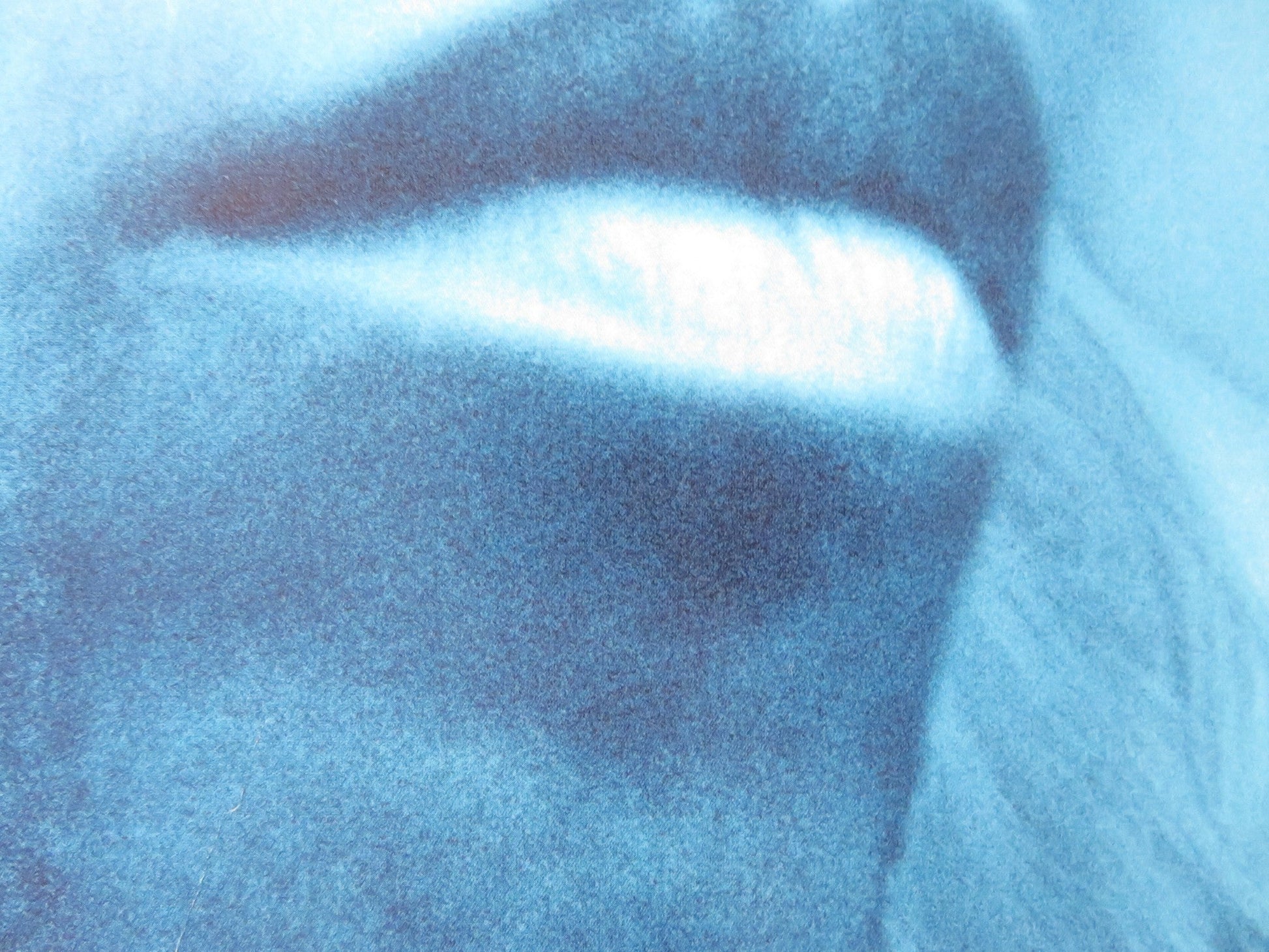 MURDER AT 1600 VHS VIDEO POSTER WESLEY SNIPES DIANE LANE 1997 Rendezvous Cinema Movie posters