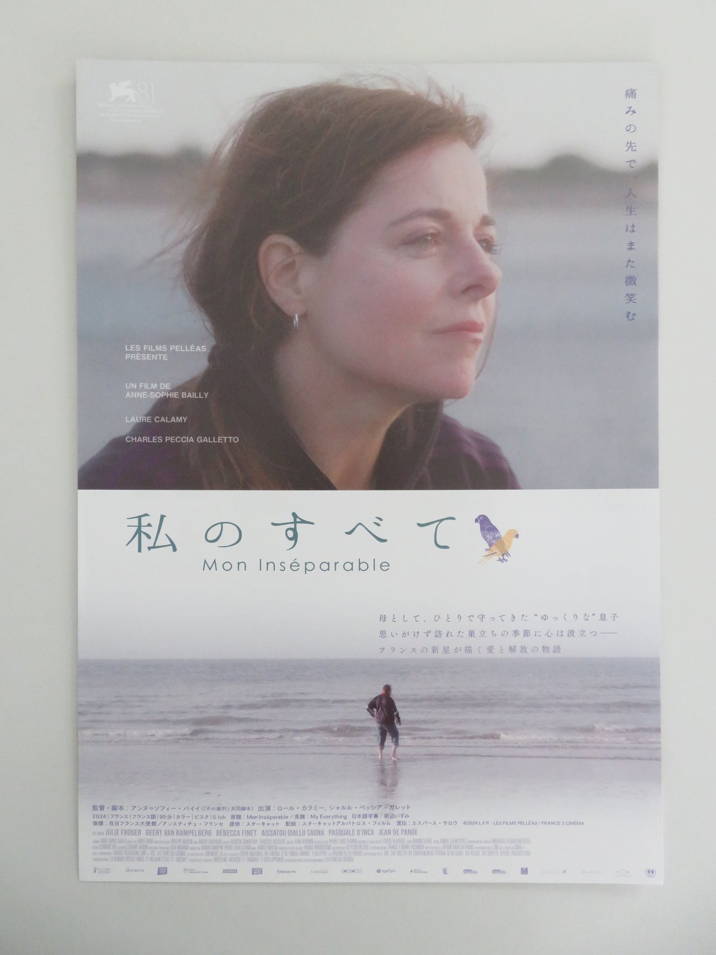 My Everything Japanese Chirashi (B5) Poster Calamy Peccia 2024 Movie posters