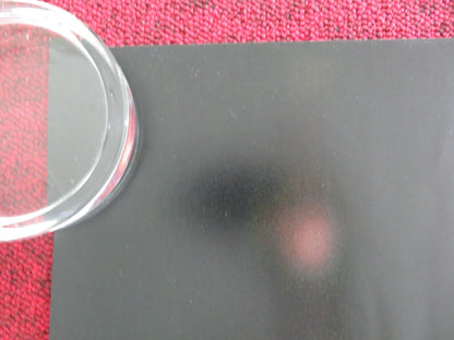 MY FAVOURITE CAKE UK QUAD ROLLED POSTER LILI FARHADPOUR ESMAEEL MEHRABI 2024 Movie posters