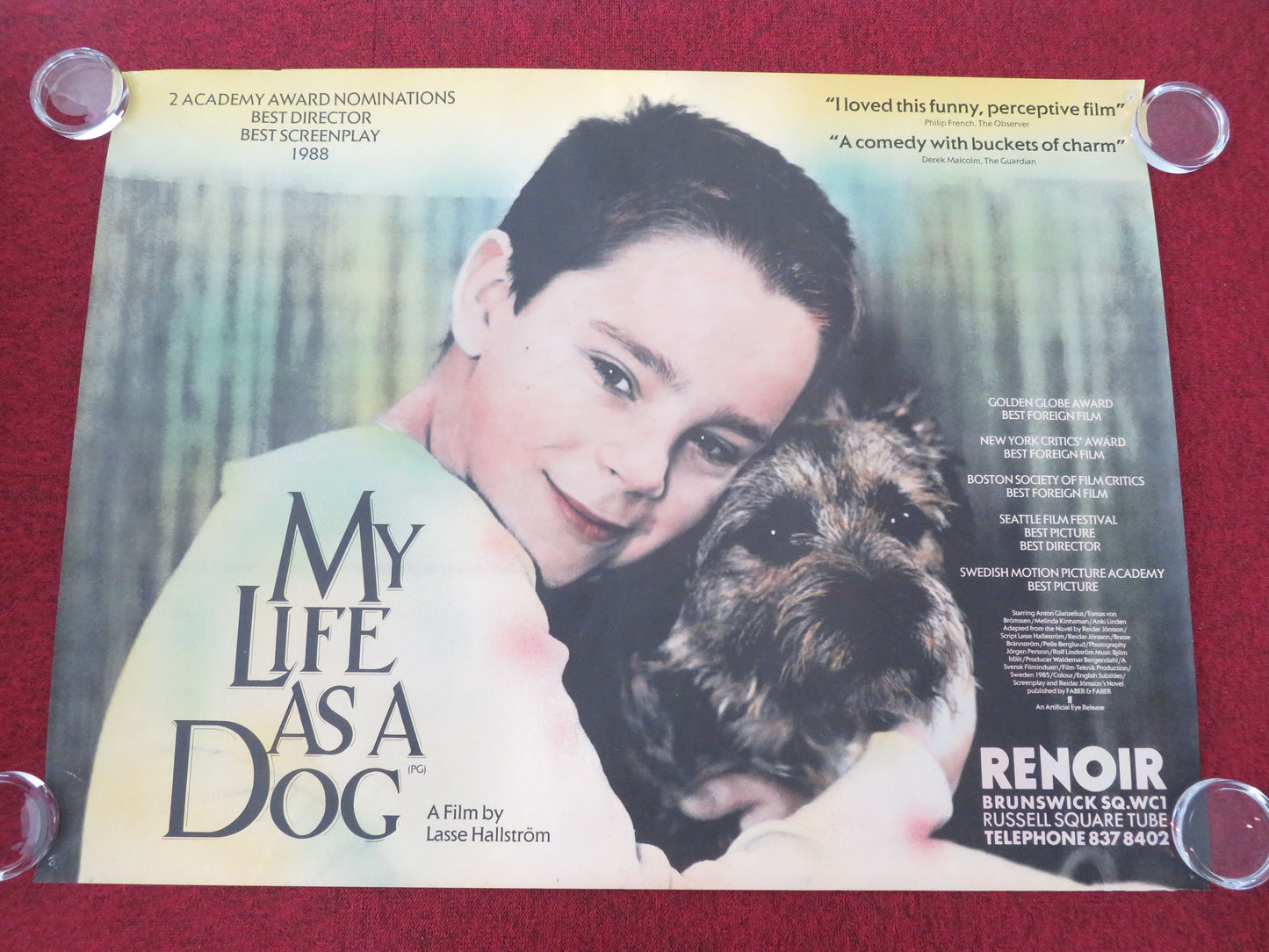 My Life as a Dog UK Quad Rolled Poster Anton Glanzelius Tomas Von Bromssen 1988 Movie posters