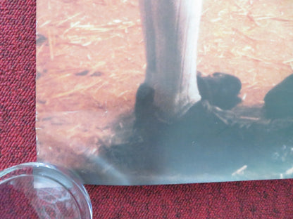 MY LIFE AS A DOG US ONE SHEET ROLLED POSTER ANTON GLANZELIUS 1985 Movie posters