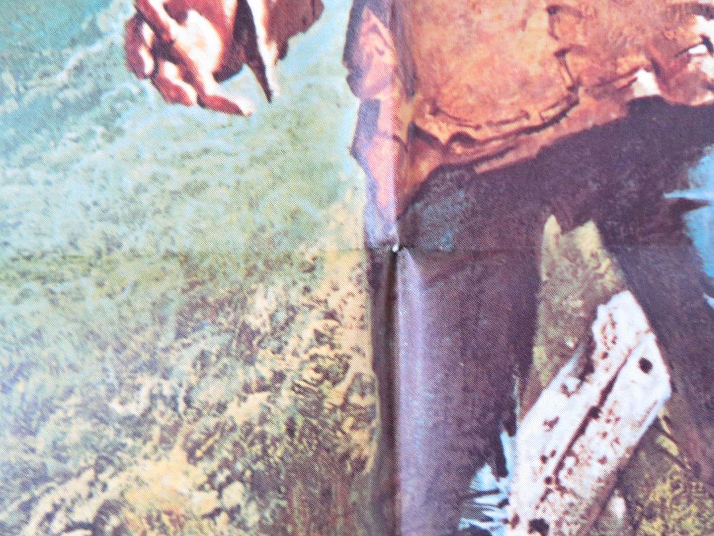 MY SIDE OF THE MOUNTAIN - B FOLDED US ONE SHEET POSTER TED ECCLES 1969 Rendezvous Cinema Movie posters