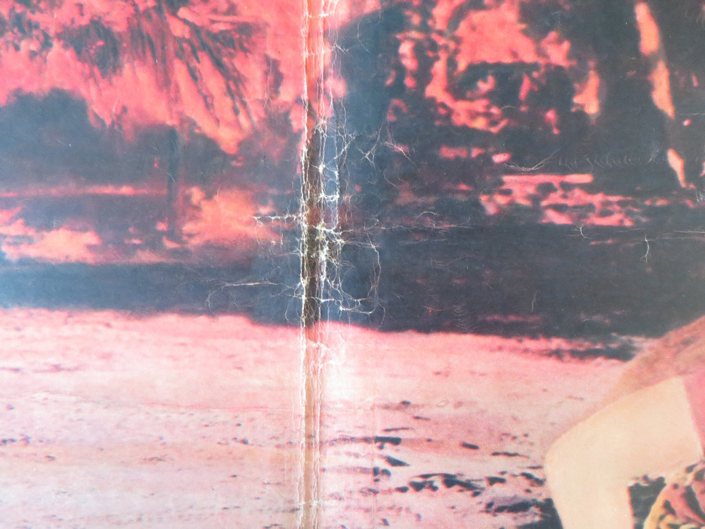 NAKED IN THE SUN - B ITALIAN FOTOBUSTA POSTER JAMES CRAIG LITA MILAN 1959 Rendezvous Cinema Movie posters